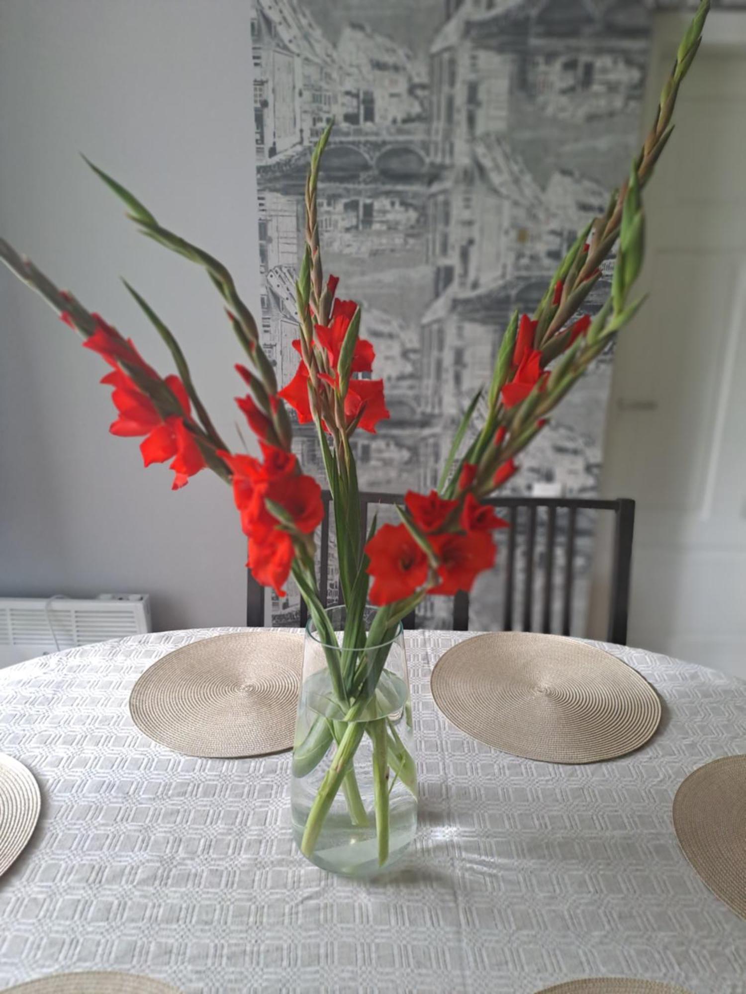 Kica Kroga Apartaments Ainaži Exteriör bild