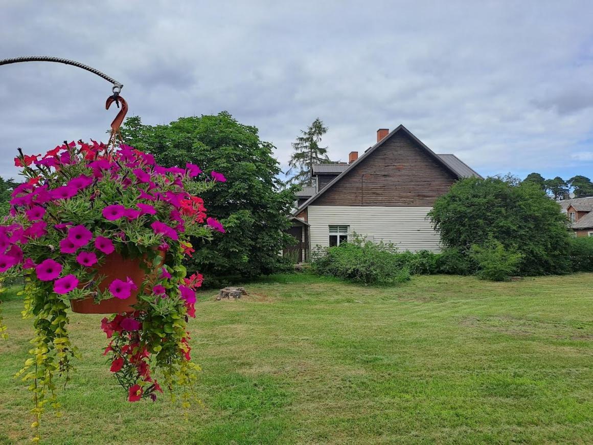 Kica Kroga Apartaments Ainaži Exteriör bild